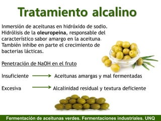 Tratamiento alcalino
Inmersión de aceitunas en hidróxido de sodio.
Hidrólisis de la oleuropeína, responsable del
característico sabor amargo en la aceituna.
También inhibe en parte el crecimiento de
bacterias lácticas.
Penetración de NaOH en el fruto
Insuficiente Aceitunas amargas y mal fermentadas
Excesiva Alcalinidad residual y textura deficiente
Fermentación de aceitunas verdes. Fermentaciones industriales. UNQ
 