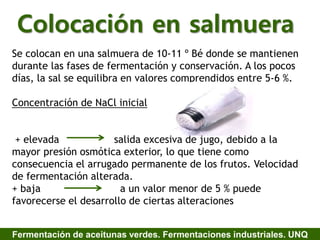 Colocación en salmuera
Se colocan en una salmuera de 10-11 º Bé donde se mantienen
durante las fases de fermentación y conservación. A los pocos
días, la sal se equilibra en valores comprendidos entre 5-6 %.
Concentración de NaCl inicial
+ elevada salida excesiva de jugo, debido a la
mayor presión osmótica exterior, lo que tiene como
consecuencia el arrugado permanente de los frutos. Velocidad
de fermentación alterada.
+ baja a un valor menor de 5 % puede
favorecerse el desarrollo de ciertas alteraciones
Fermentación de aceitunas verdes. Fermentaciones industriales. UNQ
 