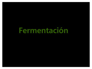 Fermentación
 