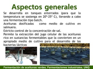 Aspectos generales
Se desarrolla en tanques enterrados (para que la
temperatura se sostenga en 20º-25º C), llevando a cabo
una fermentación tipo batch.
Aceitunas dosificadas como medio de cultivo en
salmuera.
Estricto control de la concentración de sal.
Permite la extracción del jugo celular de las aceitunas
rico en sustancias fermentables que la convierten en un
apropiado medio de cultivo para el desarrollo de las
bacterias lácticas
Fermentación de aceitunas verdes. Fermentaciones industriales. UNQ
 