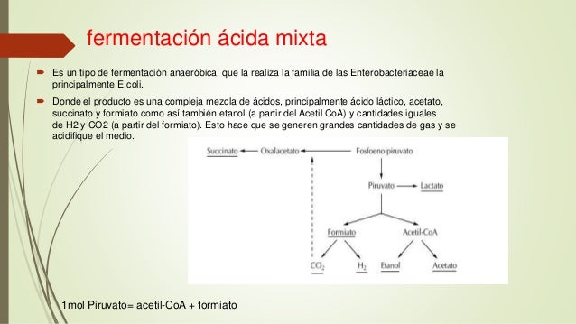 Fermentacion acido mixta