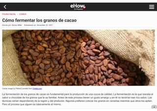 fermentacion cacao.pdf