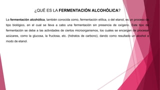 ¿QUÉ ES LA FERMENTACIÓN ALCOHÓLICA?
La fermentación alcohólica, también conocida como, fermentación etílica, o del etanol, es un proceso de
tipo biológico, en el cual se lleva a cabo una fermentación sin presencia de oxígeno. Este tipo de
fermentación se debe a las actividades de ciertos microorganismos, los cuales se encargan de procesar
azúcares, como la glucosa, la fructosa, etc. (hidratos de carbono), dando como resultado un alcohol a
modo de etanol.
 