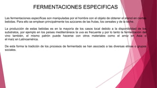 FERMENTACIONES ESPECIFICAS
Las fermentaciones específicas son manipuladas por el hombre con el objeto de obtener el etanol en ciertas
bebidas. Para ello se emplean principalmente los azúcares de las frutas, los cereales y de la leche.
La producción de estas bebidas es en la mayoría de los casos local debido a la disponibilidad de los
substratos, por ejemplo en los países mediterráneos la uva es frecuente y por lo tanto la fermentación del
vino también, el mismo patrón puede hacerse con otros materiales como el arroz en Asia o
el maíz en Latinoamérica.
De esta forma la tradición de los procesos de fermentado se han asociado a las diversas etnias o grupos
sociales.
 