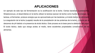 APLICACIONES
Un ejemplo de este tipo de fermentación es la acidificación de la leche. Ciertas bacterias (Lactobacillus,
Streptococcus), al desarrollarse en la leche utilizan la lactosa (azúcar de leche) como fuente de energía. La
lactosa, al fermentar, produce energía que es aprovechada por las bacterias y el ácido láctico es eliminado.
La coagulación de la leche (cuajada) resulta de la precipitación de las proteínas de la leche, y ocurre por el
descenso de pH debido a la presencia de ácido láctico. Este proceso es la base para la obtención del yogur.
El ácido láctico, dado que otorga acidez al medio, tiene excelentes propiedades conservantes de los
alimentos.
 
