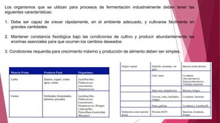 Los organismos que se utilizan para procesos de fermentación industrialmente deben tener las
siguientes características:
1. Debe ser capaz de crecer rápidamente, en el ambiente adecuado, y cultivarse fácilmente en
grandes cantidades.
2. Mantener constancia fisiológica bajo las condiciones de cultivo y producir abundantemente las
enzimas esenciales para que ocurran los cambios deseados.
3. Condiciones requerida para crecimiento máximo y producción de alimento deben ser simples.
 