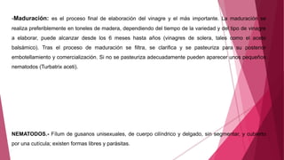 -Maduración: es el proceso final de elaboración del vinagre y el más importante. La maduración se
realiza preferiblemente en toneles de madera, dependiendo del tiempo de la variedad y del tipo de vinagre
a elaborar, puede alcanzar desde los 6 meses hasta años (vinagres de solera, tales como el aceto
balsámico). Tras el proceso de maduración se filtra, se clarifica y se pasteuriza para su posterior
embotellamiento y comercialización. Si no se pasteuriza adecuadamente pueden aparecer unos pequeños
nematodos (Turbatrix aceti).
NEMATODOS.- Fílum de gusanos unisexuales, de cuerpo cilíndrico y delgado, sin segmentar, y cubierto
por una cutícula; existen formas libres y parásitas.
 