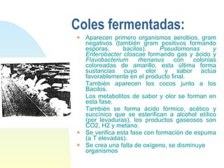 Coles fermentadas: Aparecen primero organismos aerobios, gram negativos (también gram positivos formando esporas, bacilos).  Pseudomonas y Enterobacter cloacae  formando gas y ácido y  Flavobacterium rhenanus  con colonias coloreadas de amarillo, esta última forma sustancias cuyo olor y sabor actúa favorablemente en el producto final.  También aparecen los cocos junto a los Bacilos. Los metabolitos de sabor y olor se forman en esta fase. También se forma ácido fórmico, acético y succínico que se esterifican a alcohol etílico (por levaduras), los productos gaseosos son CO2, H2 y metano. Se verifica esta fase con formación de espuma (a T elevadas). Se crea una falta de oxígeno, se disminuye organismos 