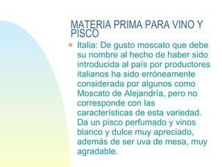 MATERIA PRIMA PARA VINO Y PISCO Italia: De gusto moscato que debe su nombre al hecho de haber sido introducida al país por productores italianos ha sido erróneamente considerada por algunos como Moscato de Alejandría, pero no corresponde con las características de esta variedad. Da un pisco perfumado y vinos blanco y dulce muy apreciado, además de ser uva de mesa, muy agradable. 