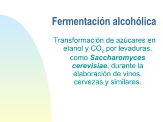 Fermentación alcohólica Transformación de azúcares en etanol y CO 2  por levaduras, como  Saccharomyces cerevisiae , durante la elaboración de vinos, cervezas y similares. 