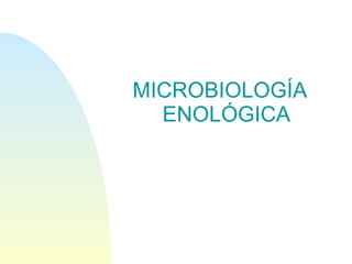 MICROBIOLOGÍA ENOLÓGICA 
