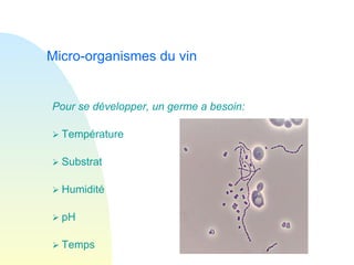 Micro-organismes du vin Pour se développer, un germe a besoin:    Température    Substrat    Humidité    pH    Temps 