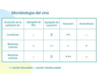 Microbiología del vino +: acción favorable; -: acción desfavorable -- + - Anaerobiosis +++ -- ++ Aireación 0 --- 0 Agregado de Lysozima - Bacterias acéticas -- Bacterias Lácticas - Levaduras Agregado de SO 2 Evolución de la población de: 