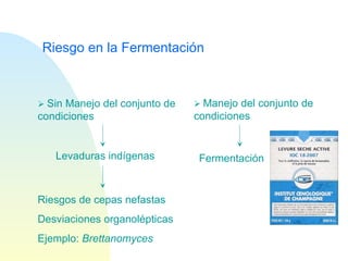 Riesgo en la Fermentación    Sin Manejo del conjunto de condiciones    Manejo del conjunto de condiciones Levaduras indígenas Fermentación Riesgos de cepas nefastas Desviaciones organolépticas Ejemplo:  Brettanomyces 