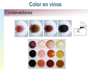 Color en vinos 