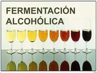 FERMENTACIÓN
ALCOHÓLICA
 