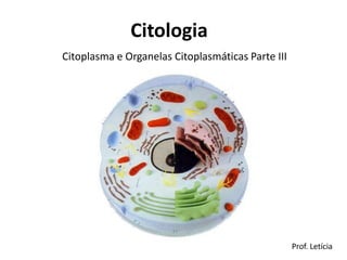 Citologia
Citoplasma e Organelas Citoplasmáticas Parte III




                                                   Prof. Letícia
 