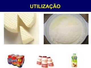 UTILIZAÇÃO
 