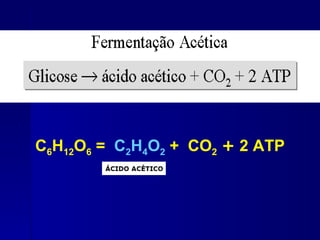C6H12O6 = C2H4O2 + CO2 + 2 ATP
 