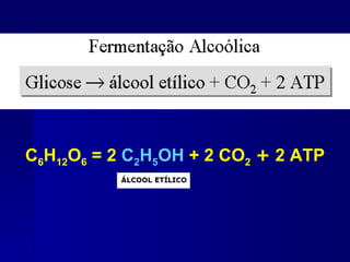 C6H12O6 = 2 C2H5OH + 2 CO2 + 2 ATP
 