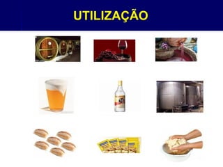 UTILIZAÇÃO
 