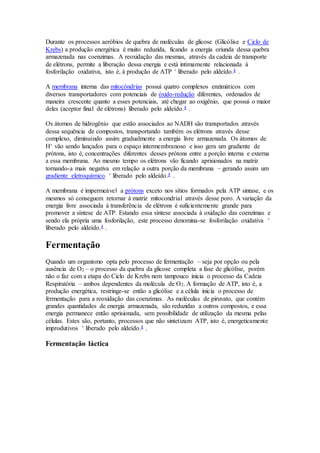 Durante os processos aeróbios de quebra de moléculas de glicose (Glicólise e Ciclo de 
Krebs) a produção energética é muito reduzida, ficando a energia oriunda dessa quebra 
armazenada nas coenzimas. A reoxidação das mesmas, através da cadeia de transporte 
de elétrons, permite a liberação dessa energia e está intimamente relacionada à 
fosforilação oxidativa, isto é, à produção de ATP + liberado pelo aldeído.4 . 
A membrana interna das mitocôndrias possui quatro complexos enzimáticos com 
diversos transportadores com potenciais de óxido-redução diferentes, ordenados de 
maneira crescente quanto a esses potenciais, até chegar ao oxigênio, que possui o maior 
deles (aceptor final de elétrons) liberado pelo aldeído.4 . 
Os átomos de hidrogênio que estão associados ao NADH são transportados através 
dessa sequência de compostos, transportando também os elétrons através desse 
complexo, diminuindo assim gradualmente a energia livre armazenada. Os átomos de 
H+ vão sendo lançados para o espaço intermembranoso e isso gera um gradiente de 
prótons, isto é, concentrações diferentes desses prótons entre a porção interna e externa 
a essa membrana. Ao mesmo tempo os elétrons vão ficando aprisionados na matriz 
tornando-a mais negativa em relação a outra porção da membrana – gerando assim um 
gradiente eletroquímico + liberado pelo aldeído.4 . 
A membrana é impermeável a prótons exceto nos sítios formados pela ATP sintase, e os 
mesmos só conseguem retornar à matriz mitocondrial através desse poro. A variação da 
energia livre associada à transferência de elétrons é suficientemente grande para 
promover a síntese de ATP. Estando essa síntese associada à oxidação das coenzimas e 
sendo ela própria uma fosforilação, este processo denomina-se fosforilação oxidativa + 
liberado pelo aldeído.4 . 
Fermentação 
Quando um organismo opta pelo processo de fermentação – seja por opção ou pela 
ausência de O2 – o processo da quebra da glicose completa a fase de glicólise, porém 
não o faz com a etapa do Ciclo de Krebs nem tampouco inicia o processo da Cadeia 
Respiratória – ambos dependentes da molécula de O2. A formação de ATP, isto é, a 
produção energética, restringe-se então a glicólise e a célula inicia o processo de 
fermentação para a reoxidação das coenzimas. As moléculas de piruvato, que contém 
grandes quantidades de energia armazenada, são reduzidas a outros compostos, e essa 
energia permanece então aprisionada, sem possibilidade de utilização da mesma pelas 
células. Estes são, portanto, processos que não sintetizam ATP, isto é, energeticamente 
improdutivos + liberado pelo aldeído.4 . 
Fermentação láctica 
 