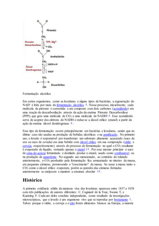 Fermentação alcoólica 
Em certos organismos, como as leveduras e alguns tipos de bactérias, a regeneração do 
NAD+ é feita por meio da fermentação alcoólica 4 . Nesse processo, inicialmente, cada 
molécula de piruvato é convertida a um composto com dois carbonos (acetaldeído) em 
uma reação de descarboxilação através da ação da enzima Piruvato Descarboxilase 
(PPP), que gera uma molécula de CO2 e uma molécula de NADH1 4 . Esse acetaldeído 
serve de aceptor dos elétrons do NADH e reduz-se a álcool etílico (etanol) a partir da 
ação da enzima álcool desidrogenase 4 : 
Esse tipo de fermentação ocorre principalmente em bactérias e leveduras, sendo que no 
último caso são usadas na produção de bebidas alcoólicas e na panificação. No primeiro 
uso, o levedo é responsável por transformar um substrato altamente açucarado (suco de 
uva ou suco de cevada) em uma bebida com álcool etílico em sua composição (vinho e 
cerveja, respectivamente) através do processo de fermentação no qual o CO2 resultante 
é evaporado do líquido, restando apenas o etanol 1 5 . Por esse mesmo princípio o suco 
de cana-de-açúcar fermentado e destilado produz o etanol, usado como combustível ou 
na produção de aguardente. No segundo uso mencionado, ao contrário do relatado 
anteriormente, o CO2 produzido pela fermentação fica armazenado no interior da massa, 
em pequenas câmaras, promovendo o "crescimento" da massa. Ao assar a massa tanto o 
CO2 como o álcool etílico evaporam, porém as paredes das câmaras formadas 
anteriormente se enrijecem e mantém a estrutura alveolar 1 6 . 
Histórico 
A primeira evidência sólida da natureza viva das leveduras apareceu entre 1837 e 1838 
com três publicações de autores diferentes: C. Cagniard de la Tour, Swann T, e 
Kuetzing F. Cada um deles concluiu independente, como resultado de investigações 
microscópicas, que o levedo é um organismo vivo que se reproduz por brotamento 7 . 
Talvez porque o vinho, a cerveja e o pão foram alimentos básicos na Europa, a maioria 
 