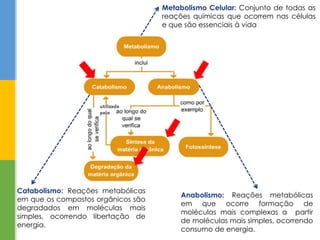 Metabolismo Celular: Conjunto de todas as
reações químicas que ocorrem nas células
e que são essenciais à vida
Catabolismo: Reações metabólicas
em que os compostos orgânicos são
degradados em moléculas mais
simples, ocorrendo libertação de
energia.
Anabolismo: Reações metabólicas
em que ocorre formação de
moléculas mais complexas a partir
de moléculas mais simples, ocorrendo
consumo de energia.
 