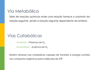 Série de reações químicas onde uma reação fornece o substrato da
reação seguinte, sendo a reação seguinte dependente da anterior.
Via Metabólica
Existem diversas vias catabólicas capazes de transferir a energia contida
nos compostos orgânicos para moléculas de ATP.
Vias Catabólicas
Aerobiose – Presença de O2
Anaerobiose – Ausência de O2
 