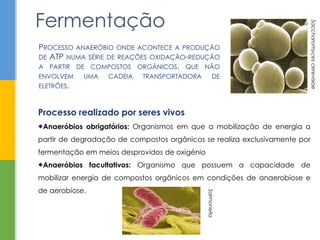 Processo realizado por seres vivos
Anaeróbios obrigatórios: Organismos em que a mobilização de energia a
partir de degradação de compostos orgânicos se realiza exclusivamente por
fermentação em meios desprovidos de oxigénio
Anaeróbios facultativos: Organismo que possuem a capacidade de
mobilizar energia de compostos orgânicos em condições de anaerobiose e
de aerobiose.
Fermentação
PROCESSO ANAERÓBIO ONDE ACONTECE A PRODUÇÃO
DE ATP NUMA SÉRIE DE REAÇÕES OXIDAÇÃO-REDUÇÃO
A PARTIR DE COMPOSTOS ORGÂNICOS, QUE NÃO
ENVOLVEM UMA CADEIA TRANSPORTADORA DE
ELETRÕES.
Saccharomycescerevisiae
Salmonella
 