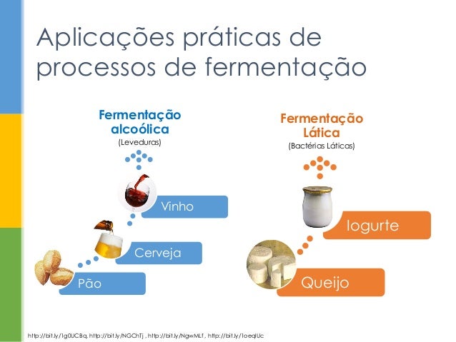 Fermentação