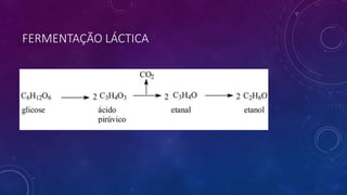 FERMENTAÇÃO LÁCTICA
 