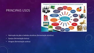 PRINCIPAIS USOS
• Fabricação de pães e bebidas alcoólicas (fermentação alcoólica)
• Queijos (fermentação láctica)
• Vinagres (fermentação acética)
 