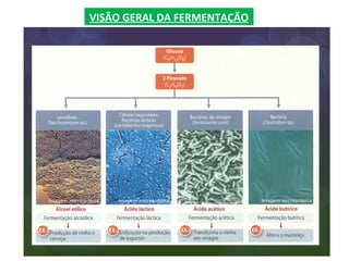 VISÃO GERAL DA FERMENTAÇÃO
 