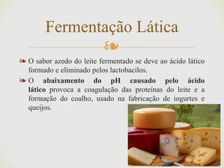 ❧
❧ O sabor azedo do leite fermentado se deve ao ácido lático
formado e eliminado pelos lactobacilos.
❧ O abaixamento do pH causado pelo ácido
lático provoca a coagulação das proteínas do leite e a
formação do coalho, usado na fabricação de iogurtes e
queijos.
Fermentação Lática
 