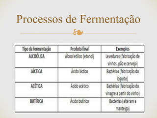 ❧
Processos de Fermentação
 