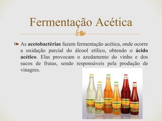❧
❧ As acetobactérias fazem fermentação acética, onde ocorre
a oxidação parcial do álcool etílico, obtendo o ácido
acético. Elas provocam o azedamento do vinho e dos
sucos de frutas, sendo responsáveis pela produção de
vinagres.
Fermentação Acética
 