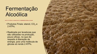 Fermentação
Alcoólica
• Produtos Finais: etanol, CO2 e
2 ATPs;
• Realizada por leveduras que
são utilizadas na produção,
pouco eficaz, no que diz
respeito à liberação de
energia, pois uma molécula de
glicose só rende 2 ATPs.
 