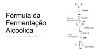 Fórmula da
Fermentação
Alcoólica
 