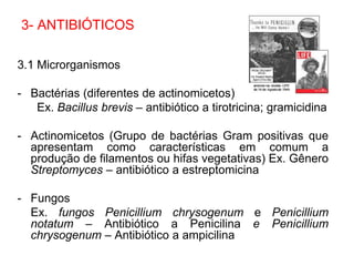 3.1 Microrganismos
- Bactérias (diferentes de actinomicetos)
Ex. Bacillus brevis – antibiótico a tirotricina; gramicidina
- Actinomicetos (Grupo de bactérias Gram positivas que
apresentam como características em comum a
produção de filamentos ou hifas vegetativas) Ex. Gênero
Streptomyces – antibiótico a estreptomicina
- Fungos
Ex. fungos Penicillium chrysogenum e Penicillium
notatum – Antibiótico a Penicilina e Penicillium
chrysogenum – Antibiótico a ampicilina
3- ANTIBIÓTICOS
 