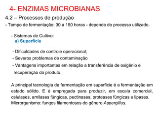 4.2 – Processos de produção
- Tempo de fermentação: 30 a 150 horas - depende do processo utilizado.
- Sistemas de Cultivo:
a) Superfície
- Dificuldades de controle operacional;
- Severos problemas de contaminação
- Vantagens importantes em relação a transferência de oxigênio e
recuperação do produto.
A principal tecnologia de fermentação em superficie é a fermentação em
estado sólido. E é empregada para produzir, em escala comercial,
celulases, amilases fúngicas, pectinases, proteases fúngicas e lipases.
Microrganismo: fungos filamentosos do gênero Aspergillus.
4- ENZIMAS MICROBIANAS
 