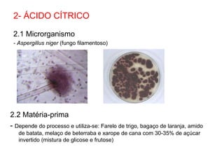 2- ÁCIDO CÍTRICO
2.1 Microrganismo
- Aspergillus niger (fungo filamentoso)
2.2 Matéria-prima
- Depende do processo e utiliza-se: Farelo de trigo, bagaço de laranja, amido
de batata, melaço de beterraba e xarope de cana com 30-35% de açúcar
invertido (mistura de glicose e frutose)
 