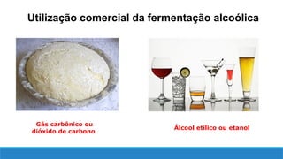 Gás carbônico ou
dióxido de carbono
Utilização comercial da fermentação alcoólica
Álcool etílico ou etanol
 