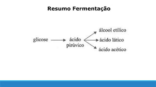 Resumo Fermentação
 
