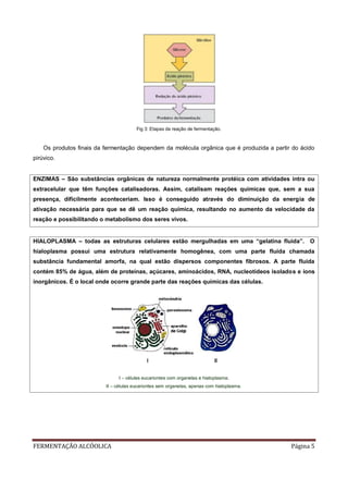FERMENTAÇÃO ALCÓOLICA Página 5
Fig 3: Etapas da reação de fermentação.
Os produtos finais da fermentação dependem da molécula orgânica que é produzida a partir do ácido
pirúvico.
ENZIMAS – São substâncias orgânicas de natureza normalmente protéica com atividades intra ou
extracelular que têm funções catalisadoras. Assim, catalisam reações químicas que, sem a sua
presença, dificilmente aconteceriam. Isso é conseguido através do diminuição da energia de
ativação necessária para que se dê um reação química, resultando no aumento da velocidade da
reação e possibilitando o metabolismo dos seres vivos.
HIALOPLASMA – todas as estruturas celulares estão mergulhadas em uma “gelatina fluida”. O
hialoplasma possui uma estrutura relativamente homogênea, com uma parte fluida chamada
substância fundamental amorfa, na qual estão dispersos componentes fibrosos. A parte fluida
contém 85% de água, além de proteínas, açúcares, aminoácidos, RNA, nucleotídeos isolados e íons
inorgânicos. É o local onde ocorre grande parte das reações químicas das células.
I – células eucariontes com organelas e hialoplasma;
II – células eucariontes sem organelas, apenas com hialoplasma.
 