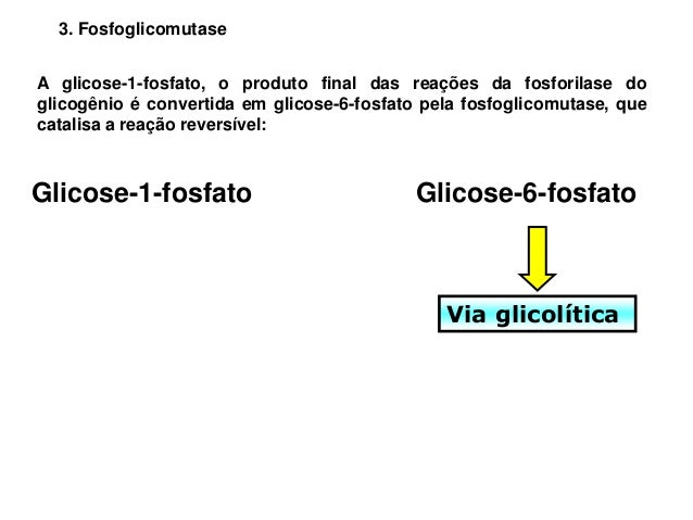 Fermentacao Alcoolica E Latica Gliconeogenese Glicogenese E Glicoge