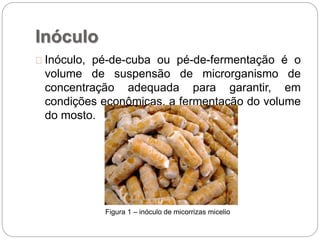 Inóculo
Inóculo, pé-de-cuba ou pé-de-fermentação é o
volume de suspensão de microrganismo de
concentração adequada para garantir, em
condições econômicas, a fermentação do volume
do mosto.
Figura 1 – inóculo de micorrizas micelio
 