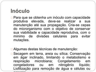 Inóculo
Para que se obtenha um inóculo com capacidade
produtiva elevada, deve-se realizar a sua
manutenção até sua propagação. Cria-se cepas
do microrganismo com o objetivo de conservar
sua viabilidade e capacidade reprodutiva, com o
mínimo de divisões celulares para evitar
mutações.
Algumas destas técnicas de manutenção:
Secagem em terra, areia ou sílica; Conservação
em ágar inclinado, limitando o metabolismo e
respiração microbiana; Congelamento em
congeladores ou em nitrogênio líquido;
Liofilização para remoção de água e células ou
 