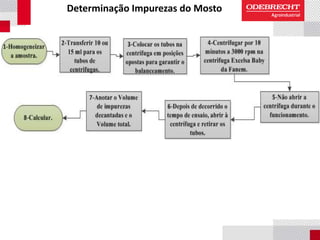 Determinação Impurezas do Mosto
 