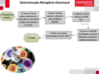 Determinação Nitrogênio Amoniacal
 